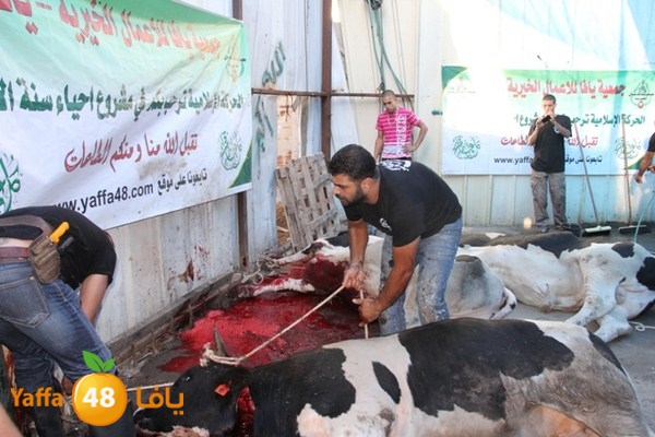 ada7y 116 n1 (6).JPG